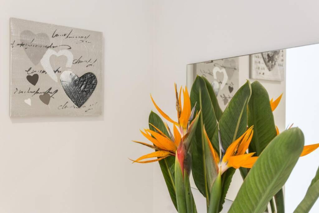 Cosy Apartment Dystrykt Dystrykt Faro Zewnętrze zdjęcie